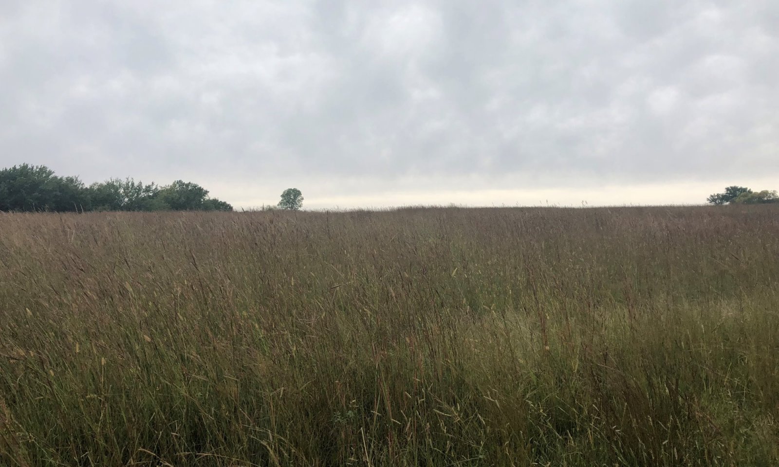 2018 Loamy Reference payne County