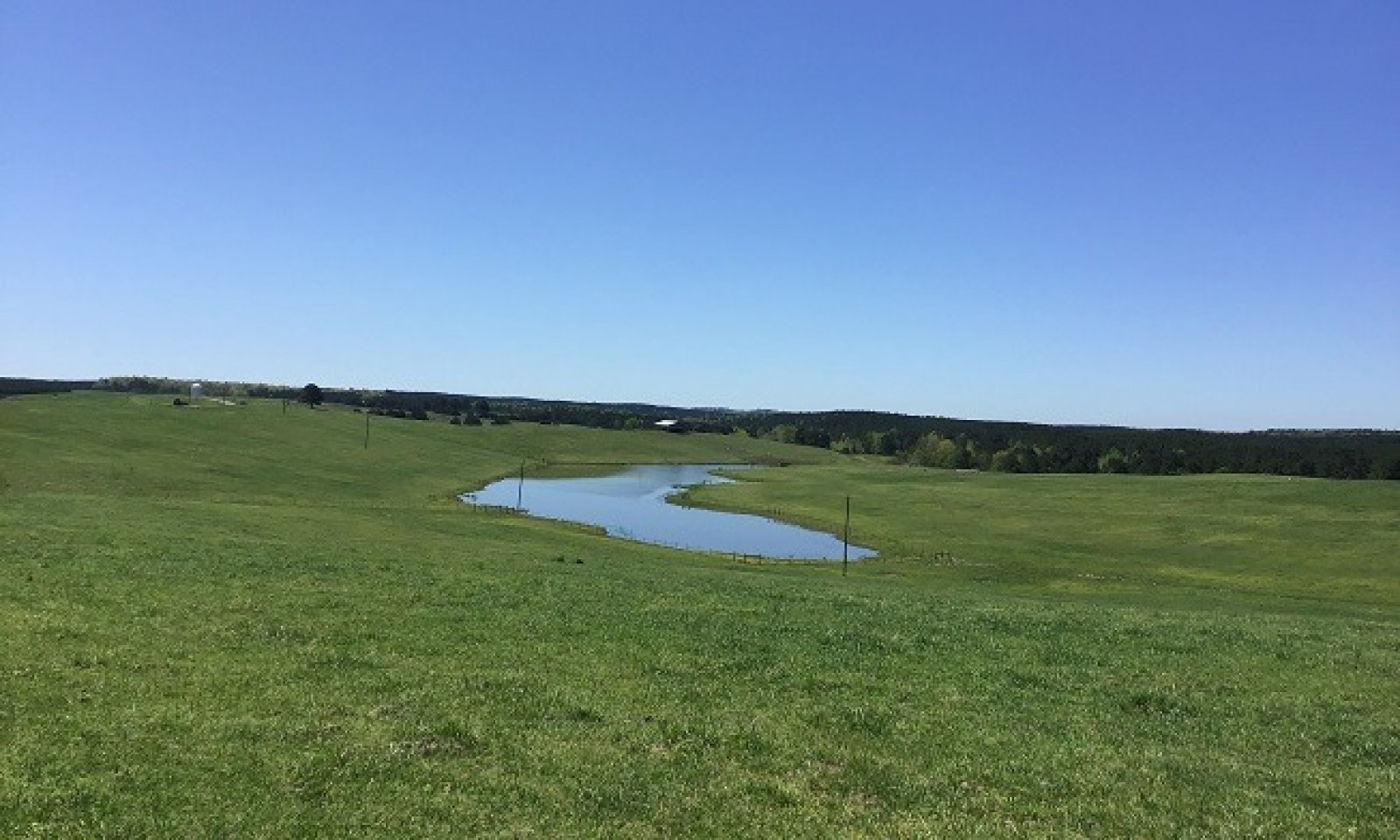 Mine spoil_Grass