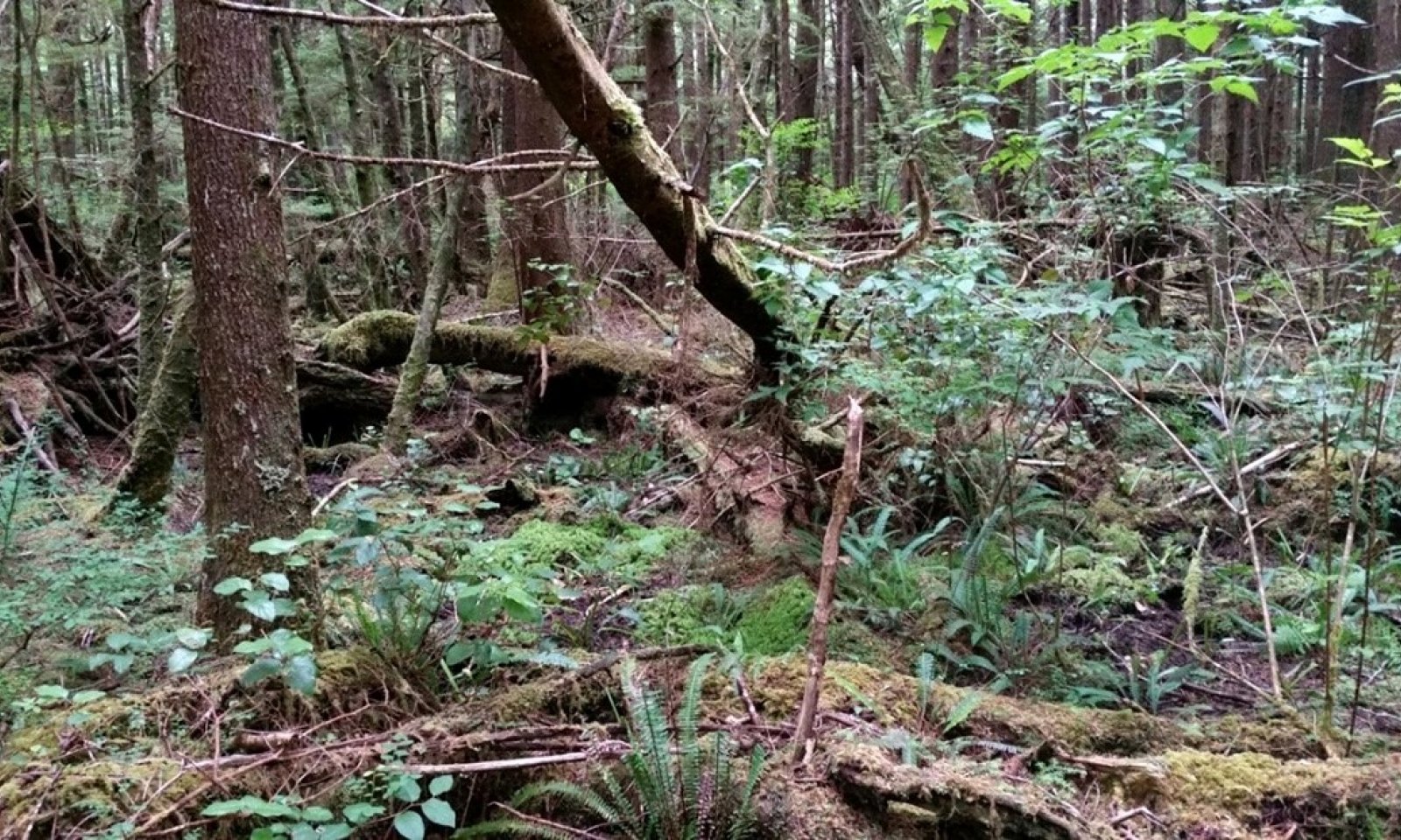 002photo1