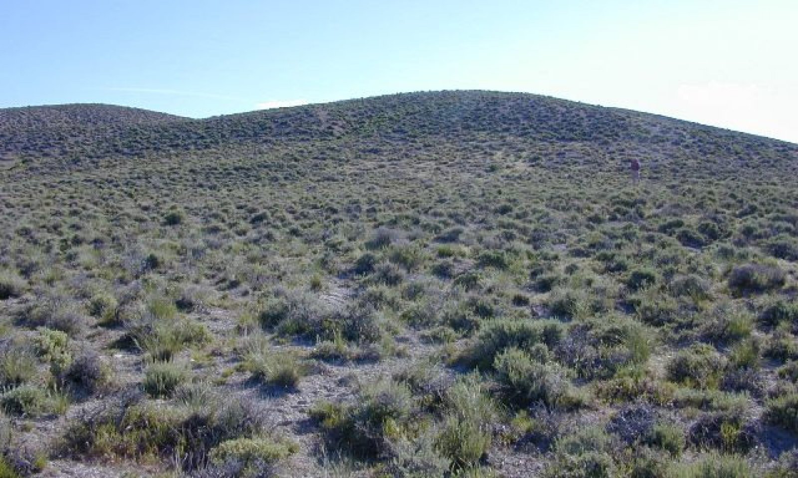 UT052402GM02_1