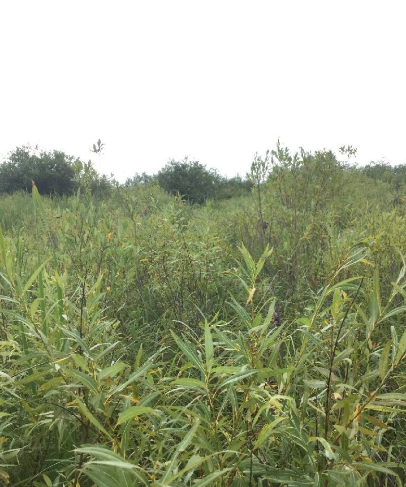 90AB19JG007_Page_6_Image_0001