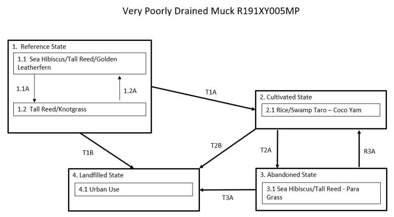 Model diagram
