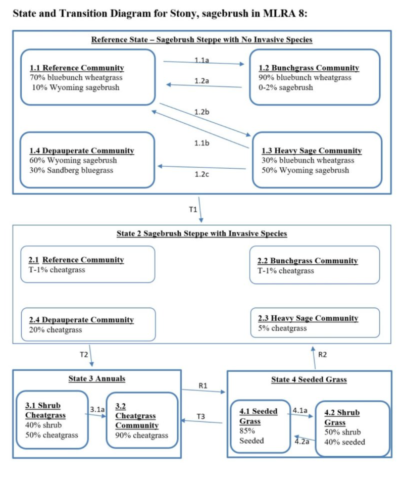 Model diagram