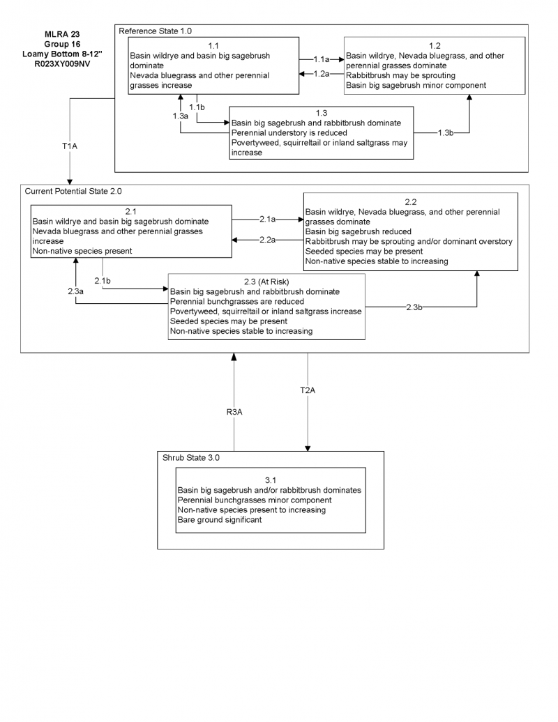 Model diagram