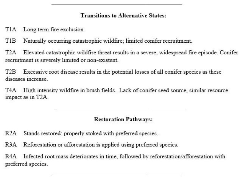 Model diagram