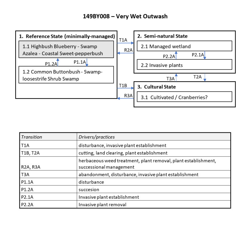 Model diagram