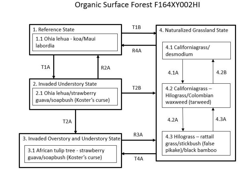 Model diagram