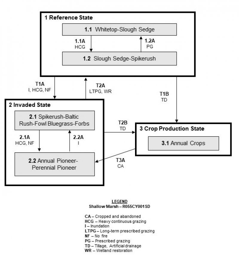 Model diagram