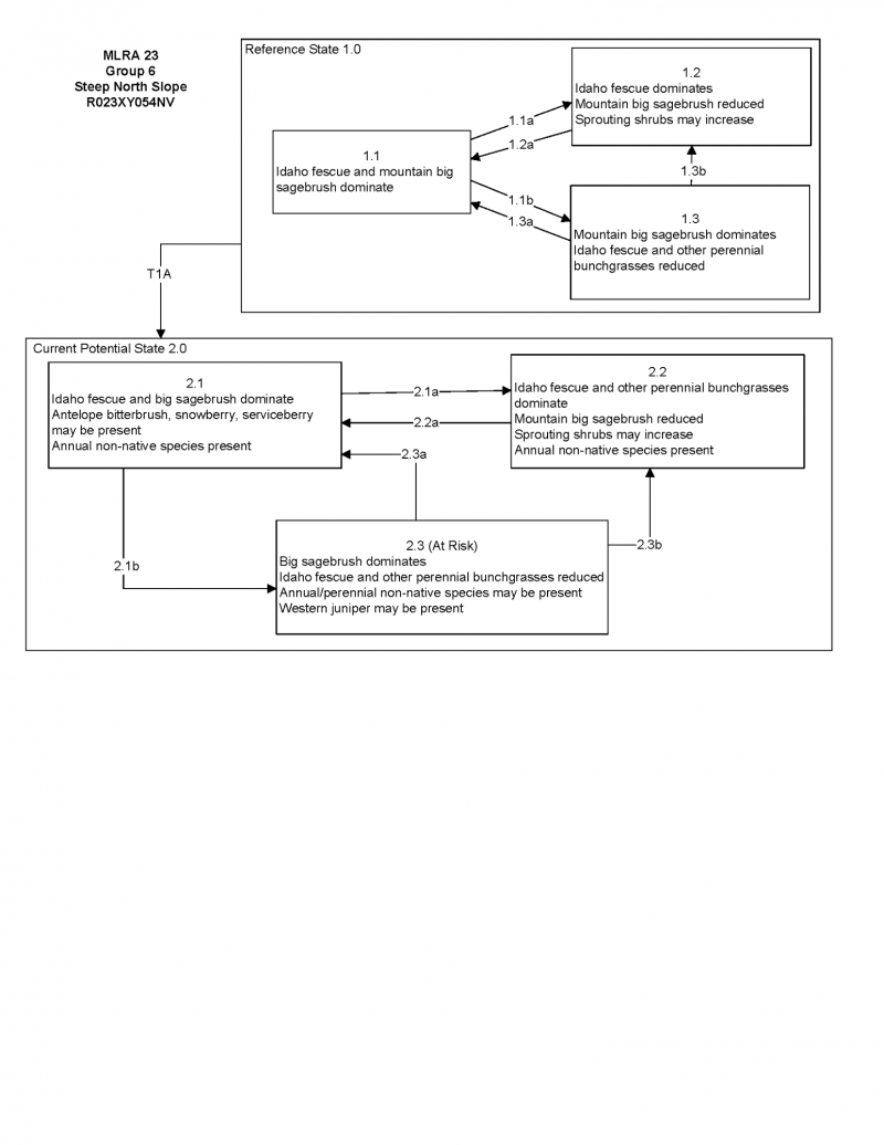 Model diagram
