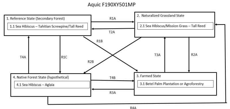 Model diagram