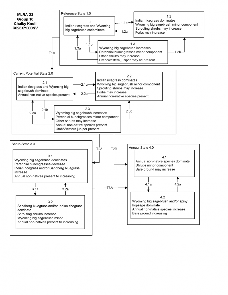Model diagram