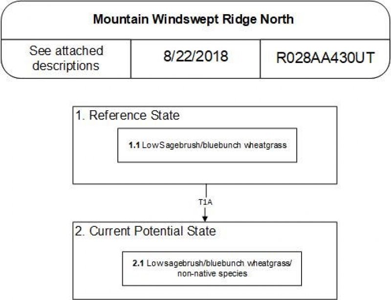 Model diagram