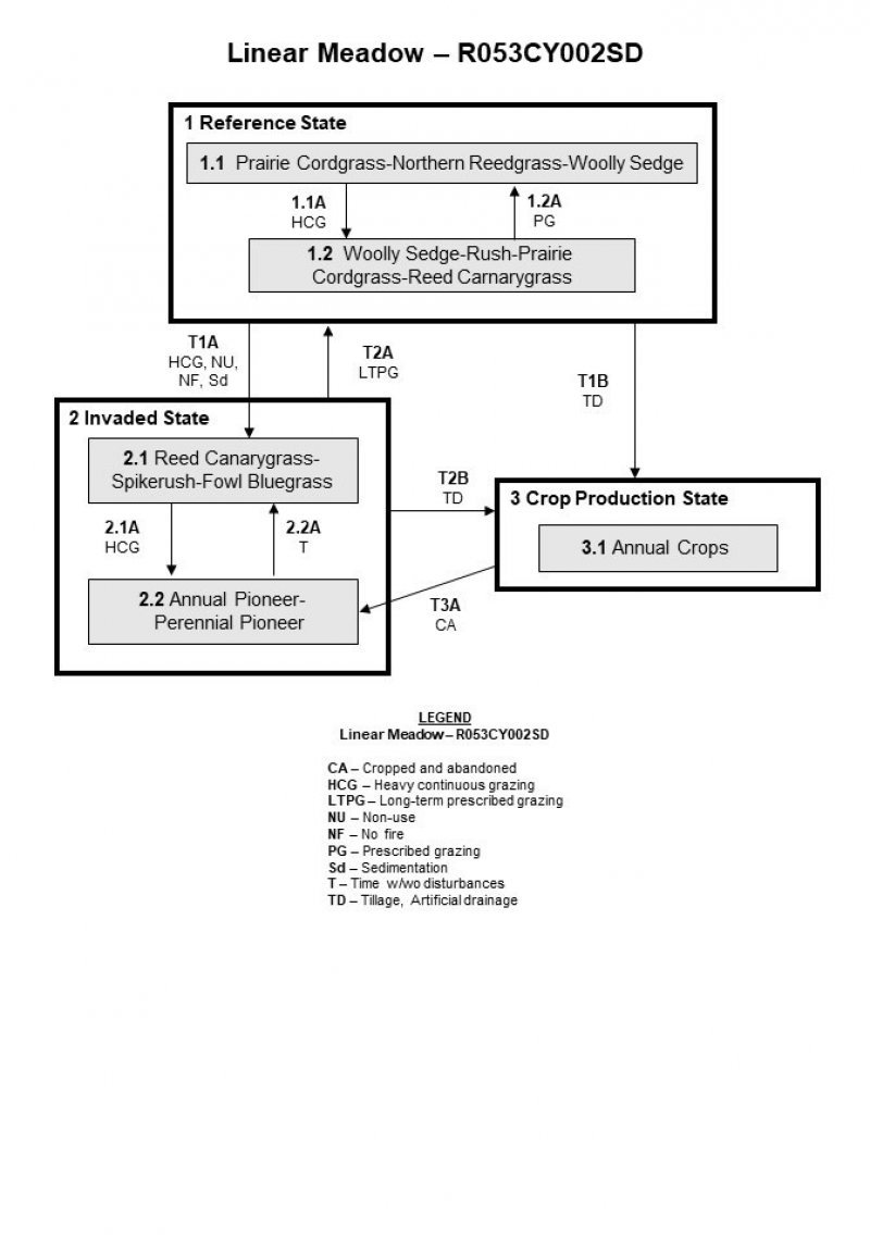 Model diagram