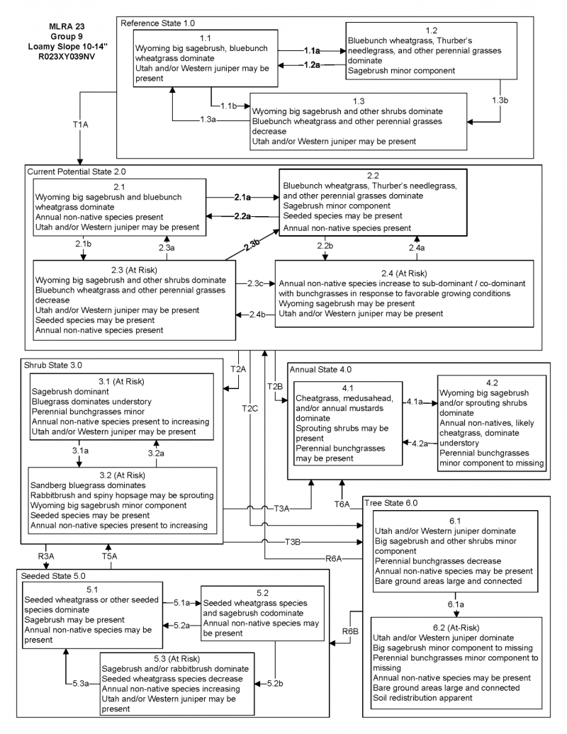 Model diagram
