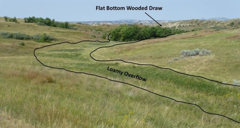 Model diagram