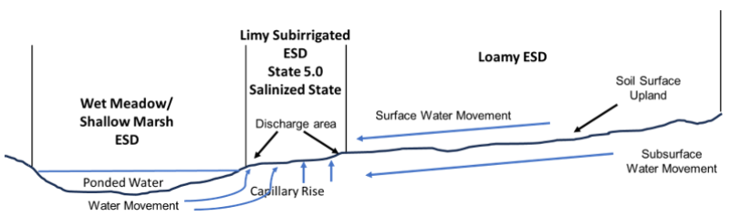 Model diagram