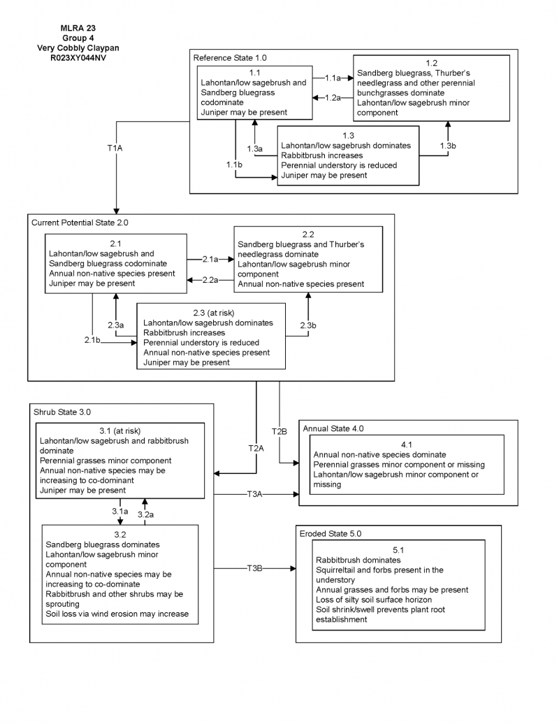 Model diagram