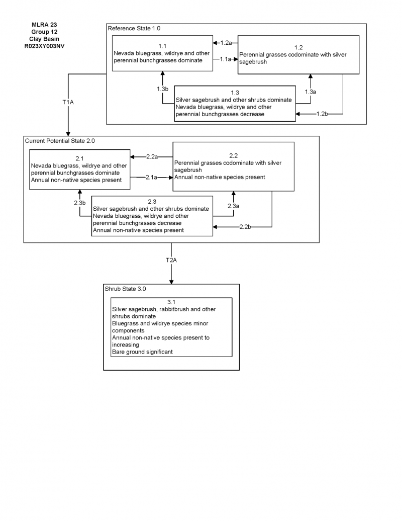 Model diagram