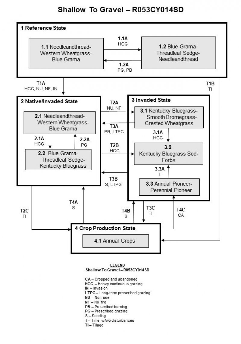 Model diagram