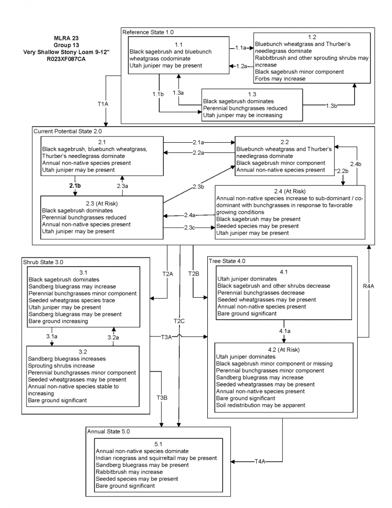 Model diagram