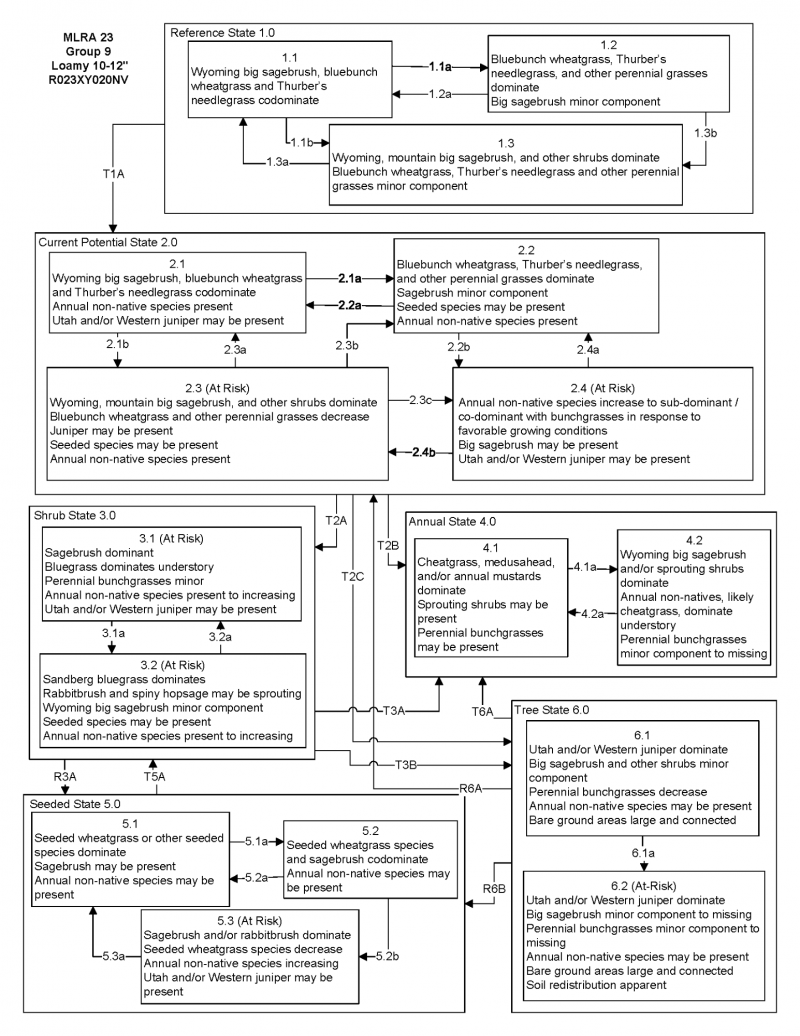 Model diagram