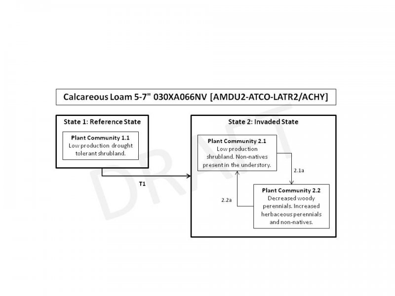 Model diagram