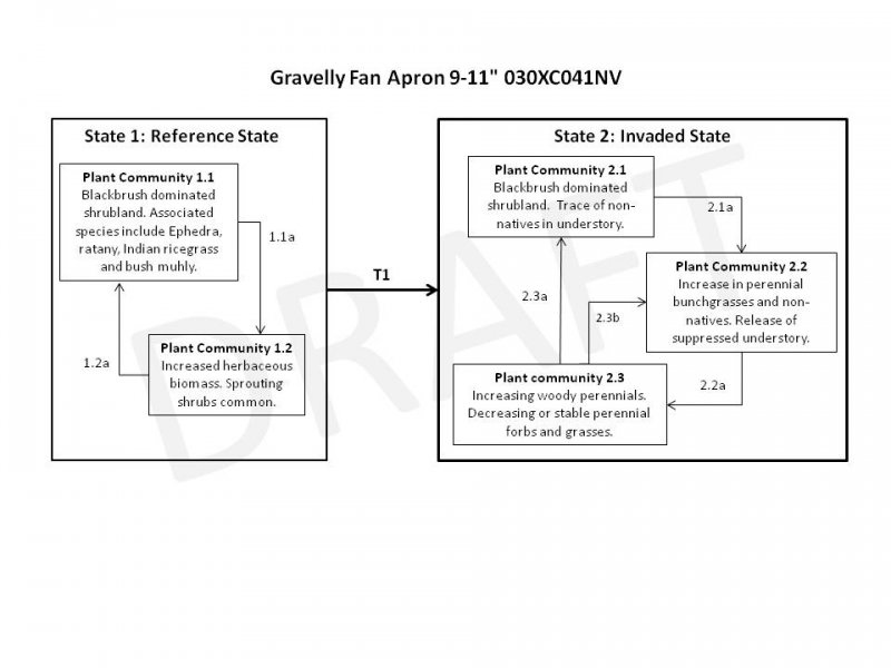 Model diagram