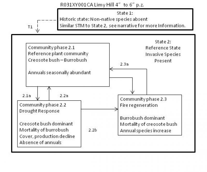 Model diagram