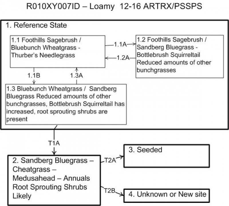 Model diagram