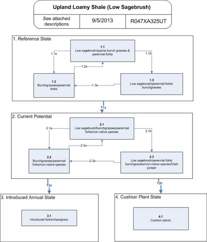 Model diagram