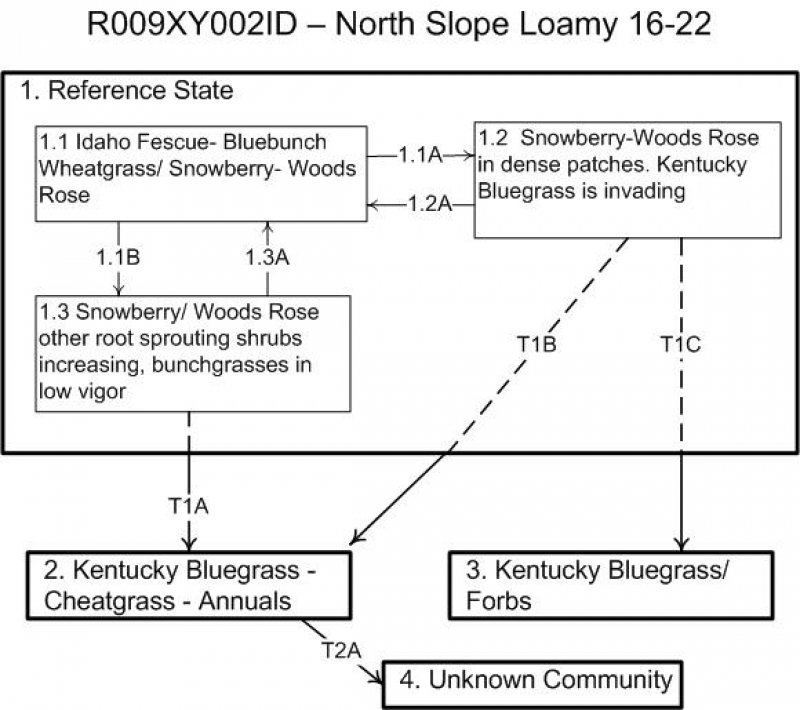 Model diagram