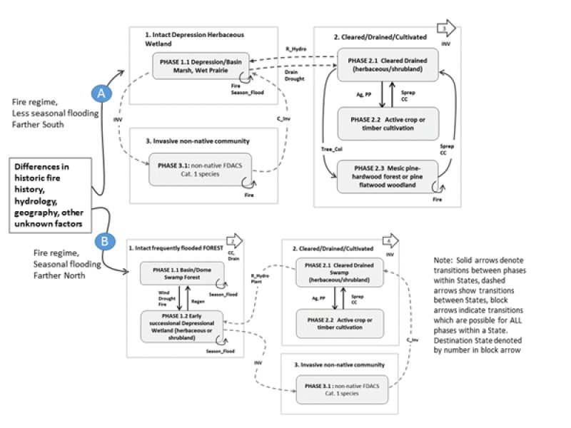 Model diagram