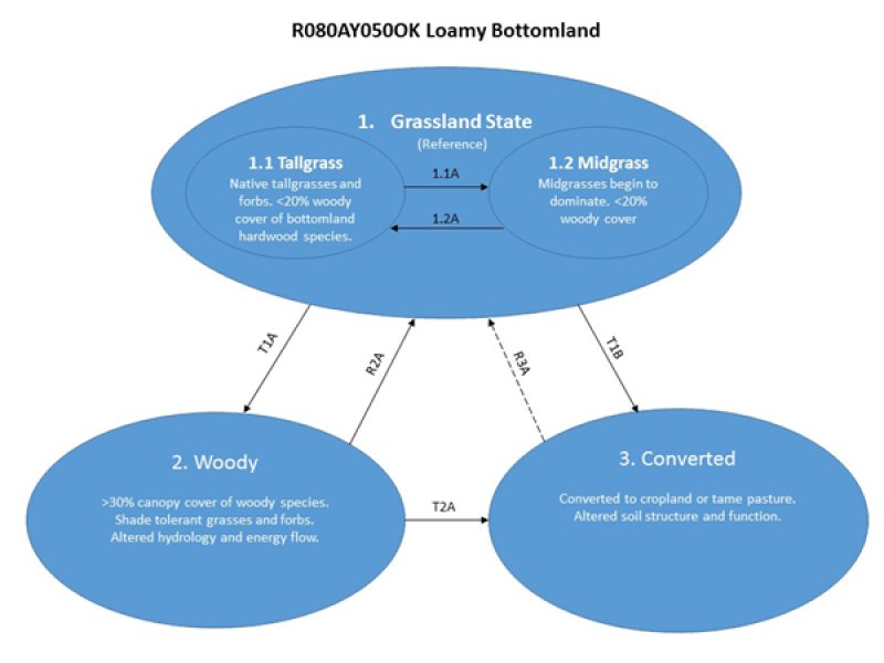 Model diagram