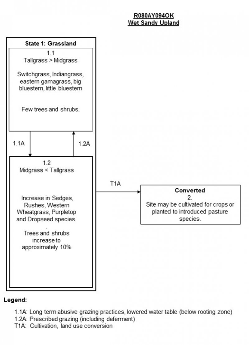 Model diagram