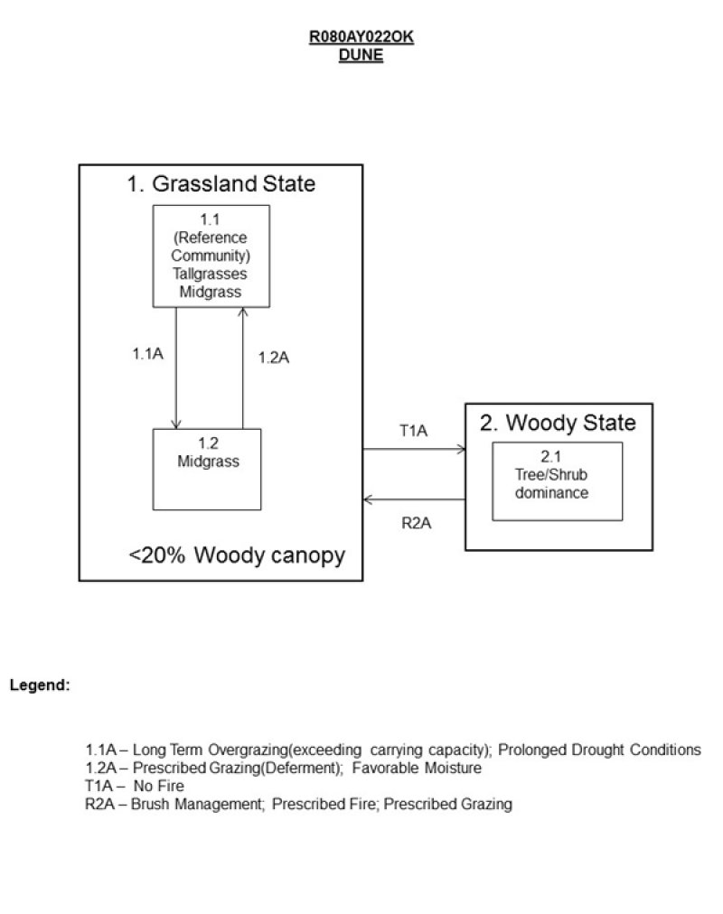 Model diagram