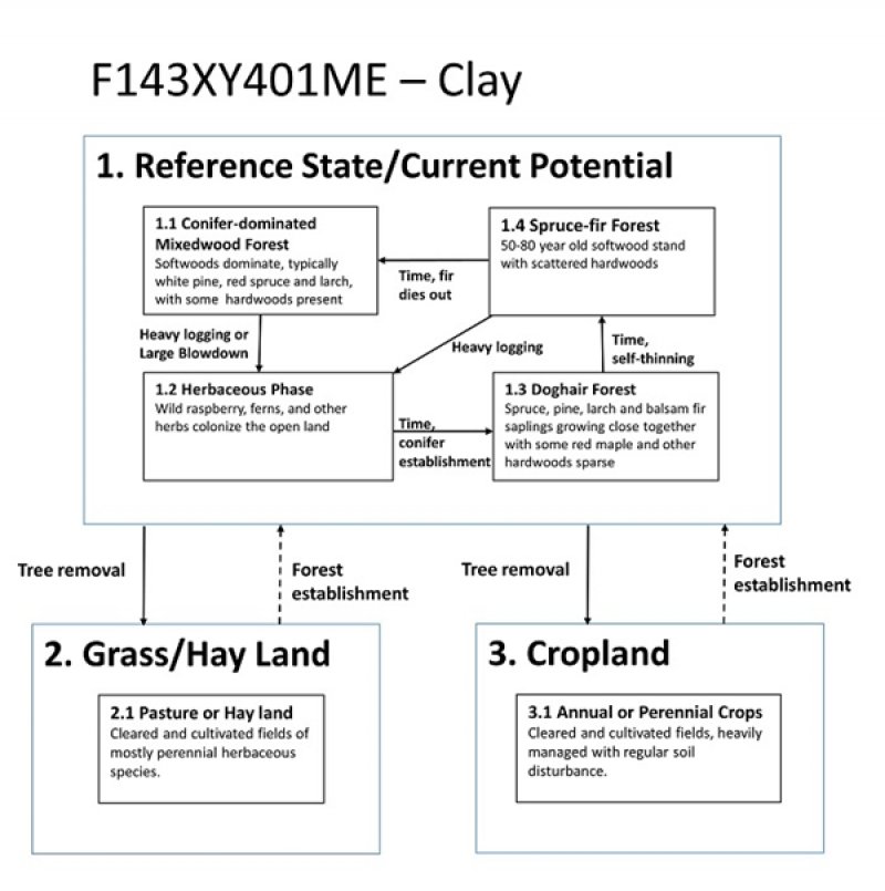 Model diagram