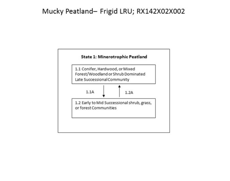 Model diagram