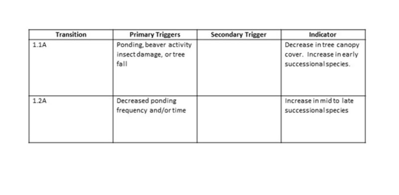 Model diagram