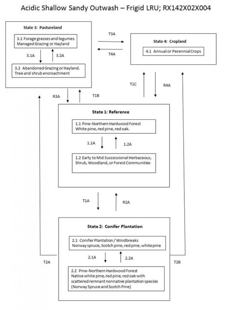 Model diagram