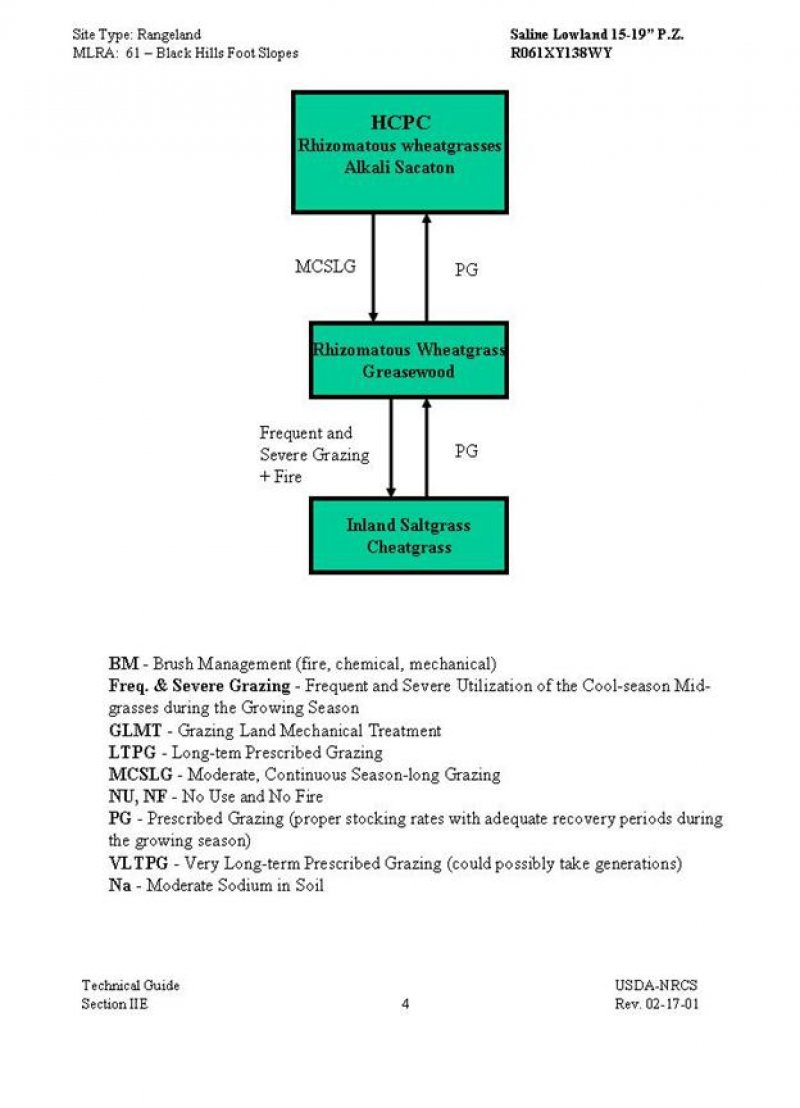 Model diagram