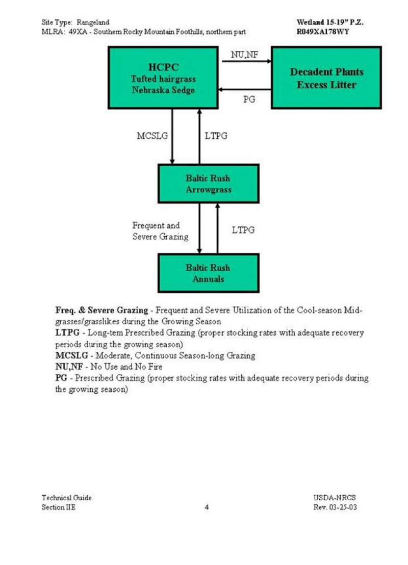 Model diagram