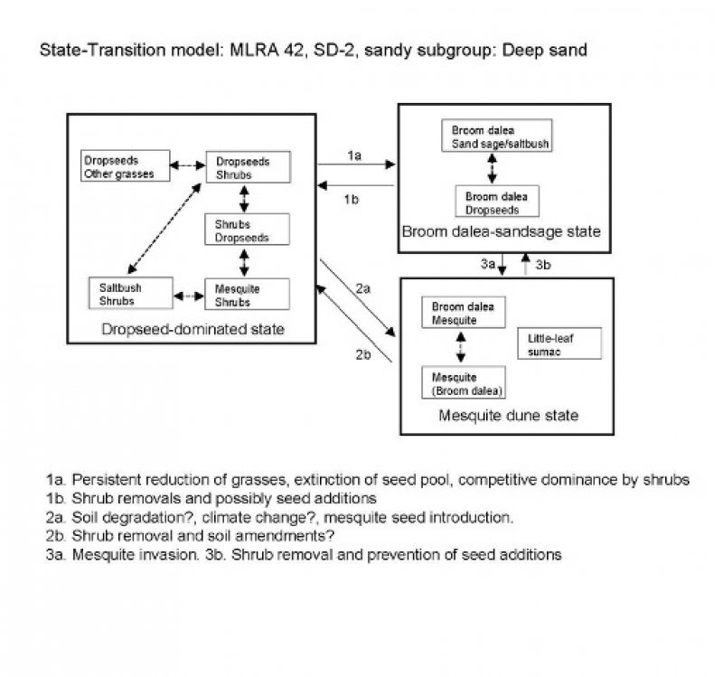 Model diagram