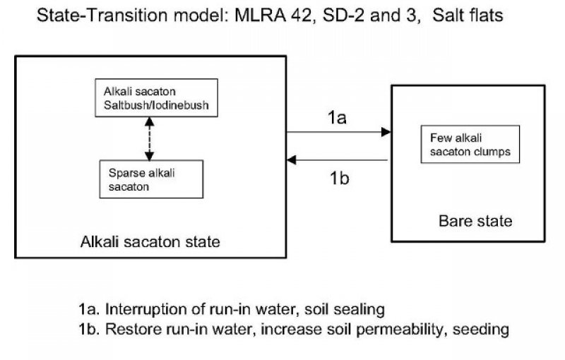 Model diagram