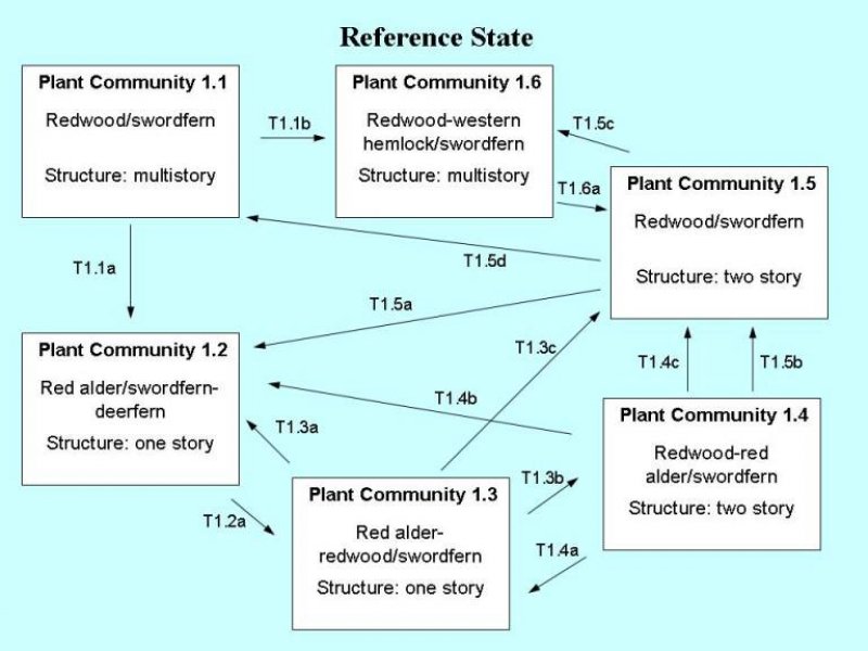 Model diagram