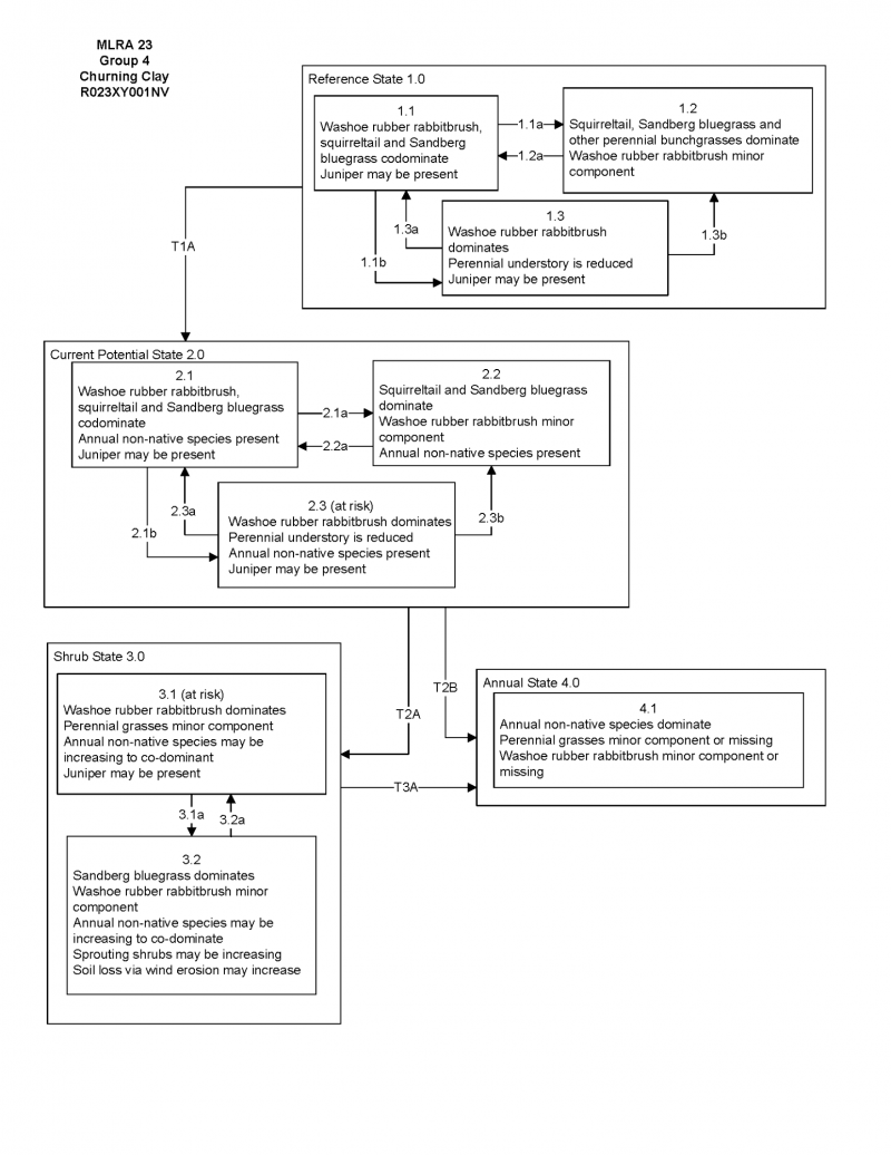 Model diagram
