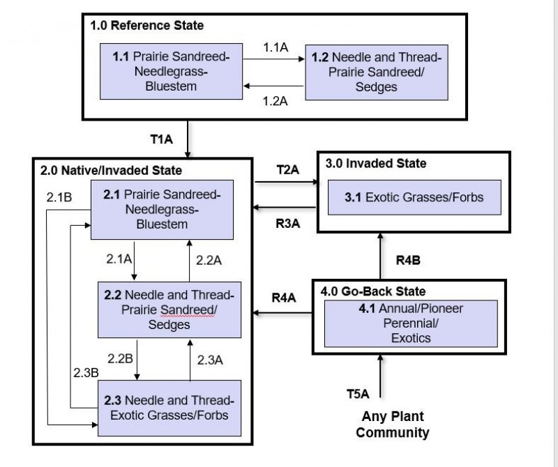 Model diagram