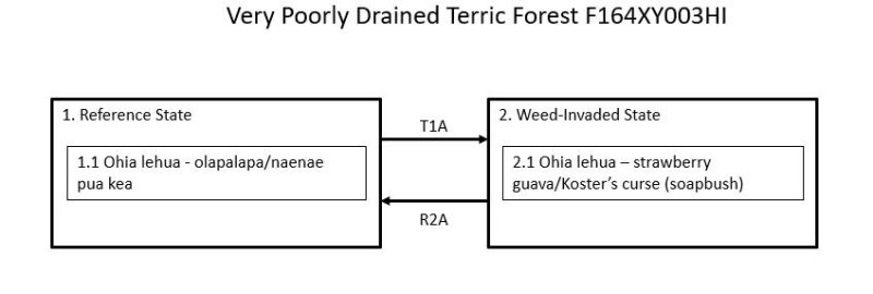 Model diagram