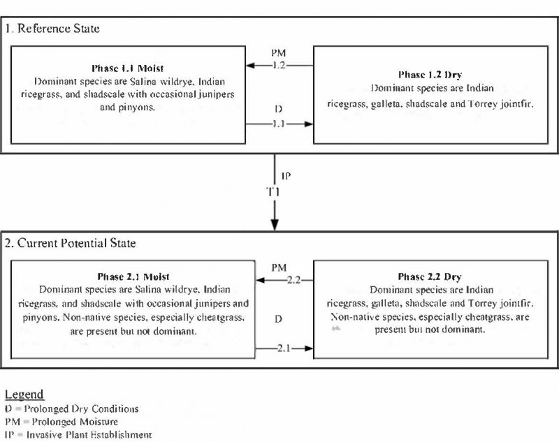 Model diagram