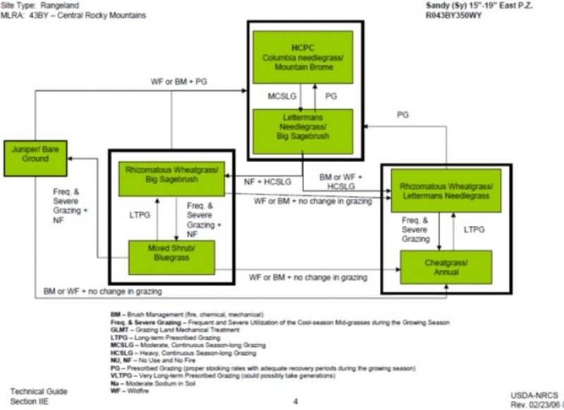 Model diagram