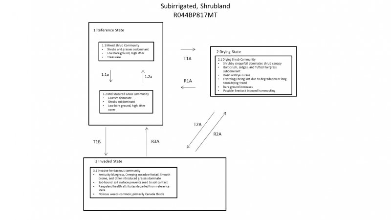 Model diagram